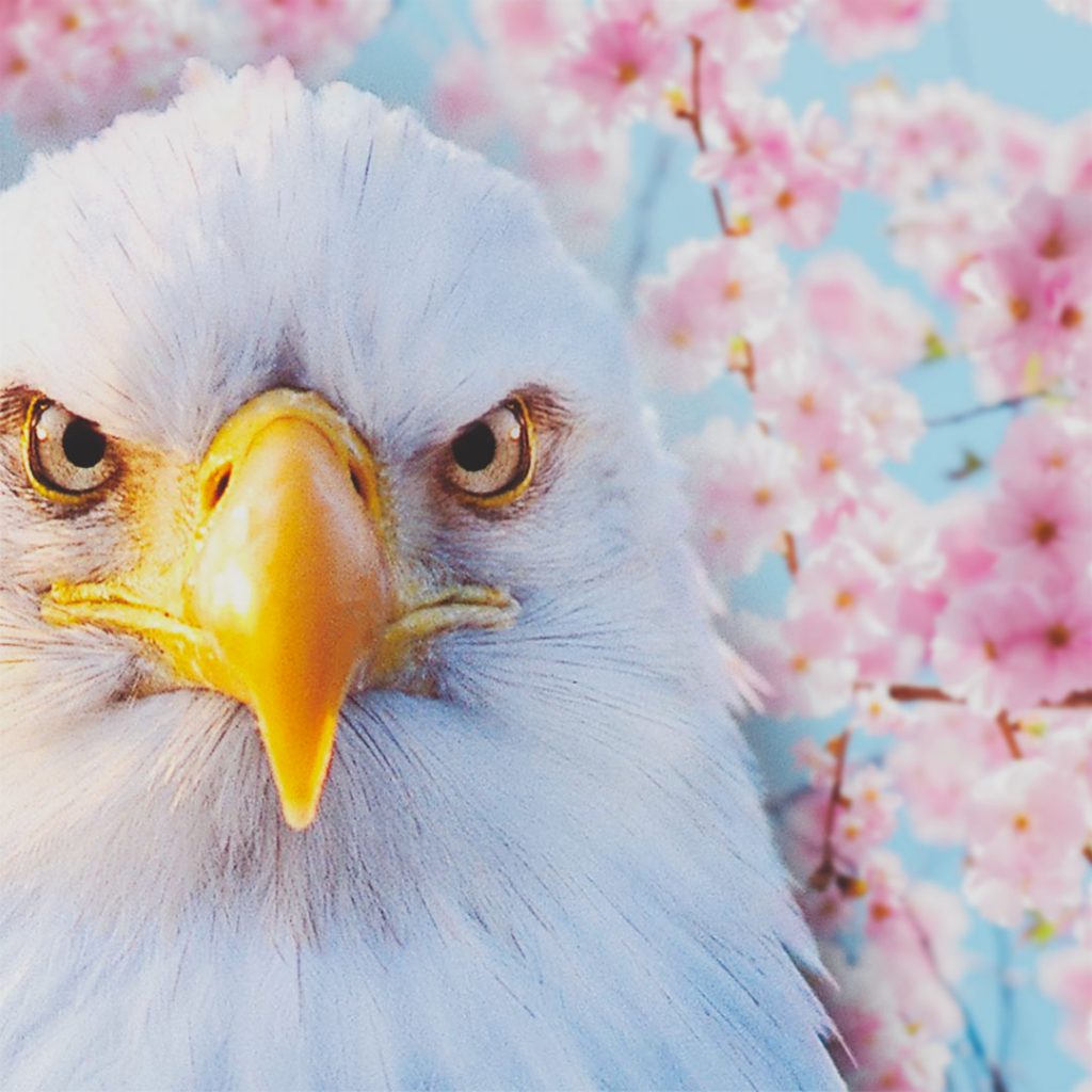 Eagle Crusher Company Updates - April 2021