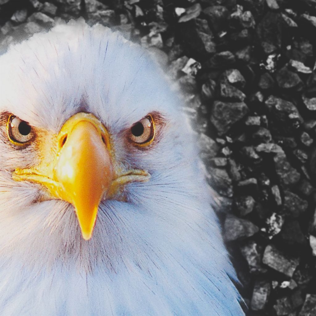 Eagle Crusher Company August