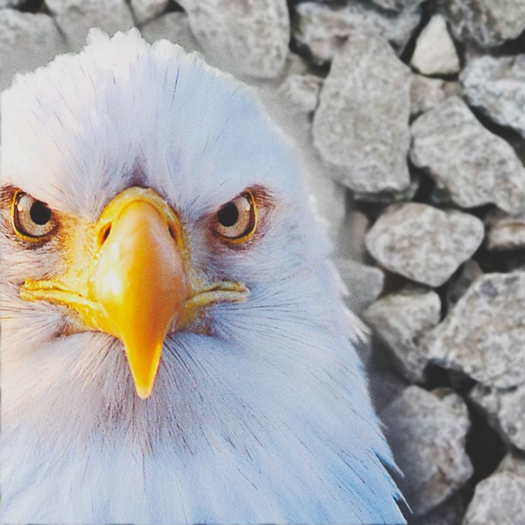 Eagle Crusher Company June