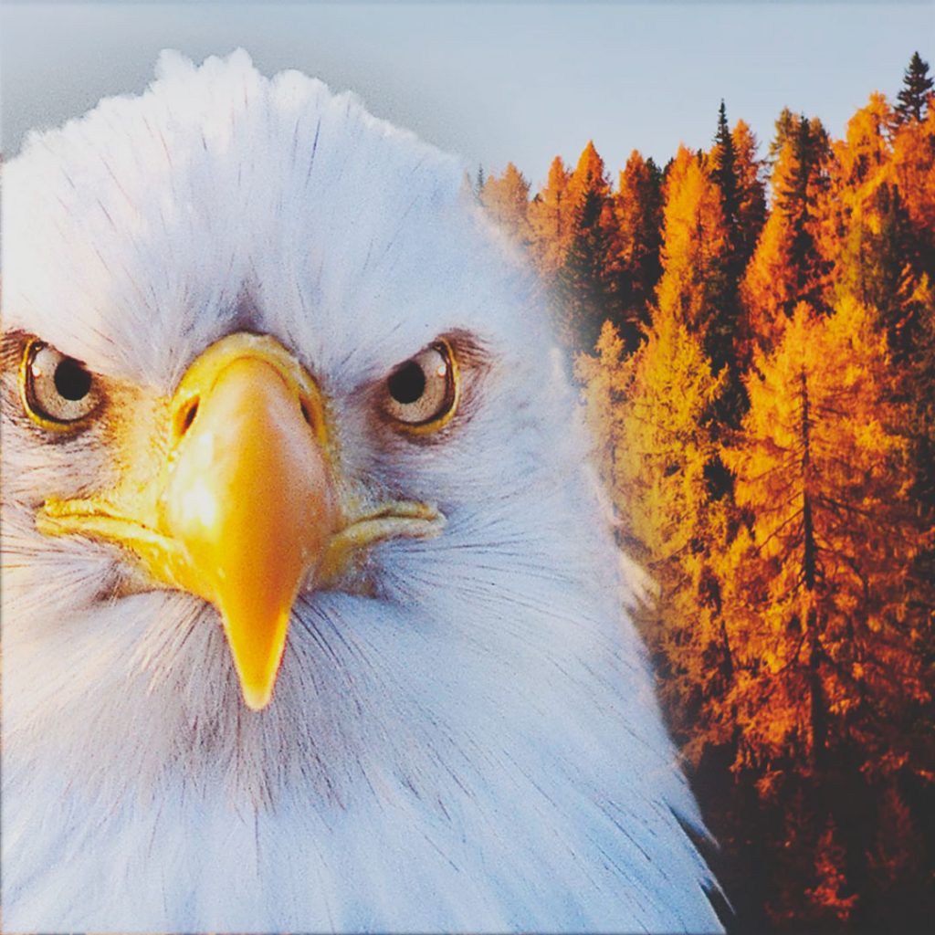 Eagle Crusher Company October